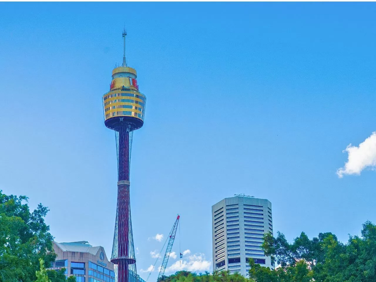雪梨塔Sydney Tower Eye
