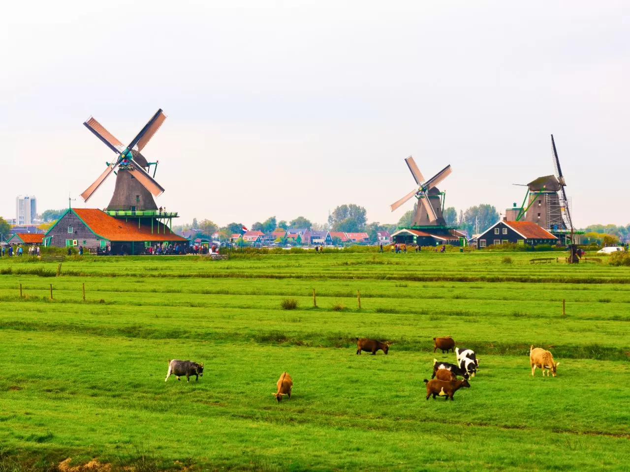 羊角村Giethoorn