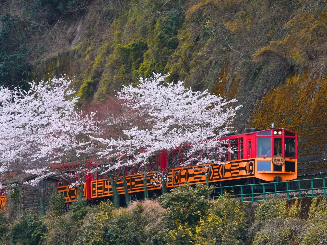 嵯峨野小火車
