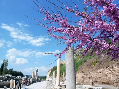 花現土耳其