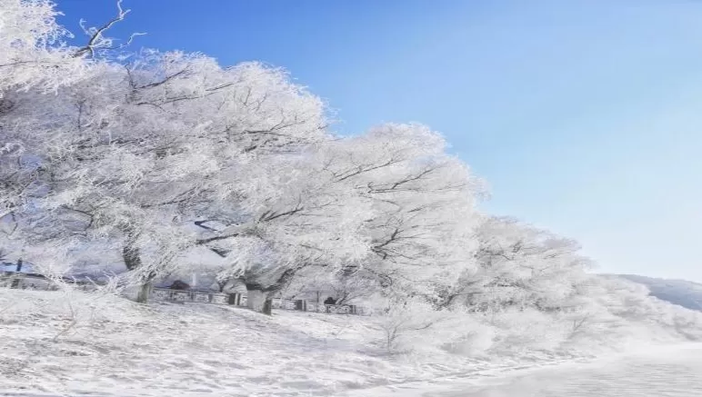霧凇島